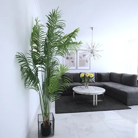 Sun Club 假日公园 普拉亚戴尔雷安格莱斯